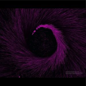 Meet your Posher, Xavier